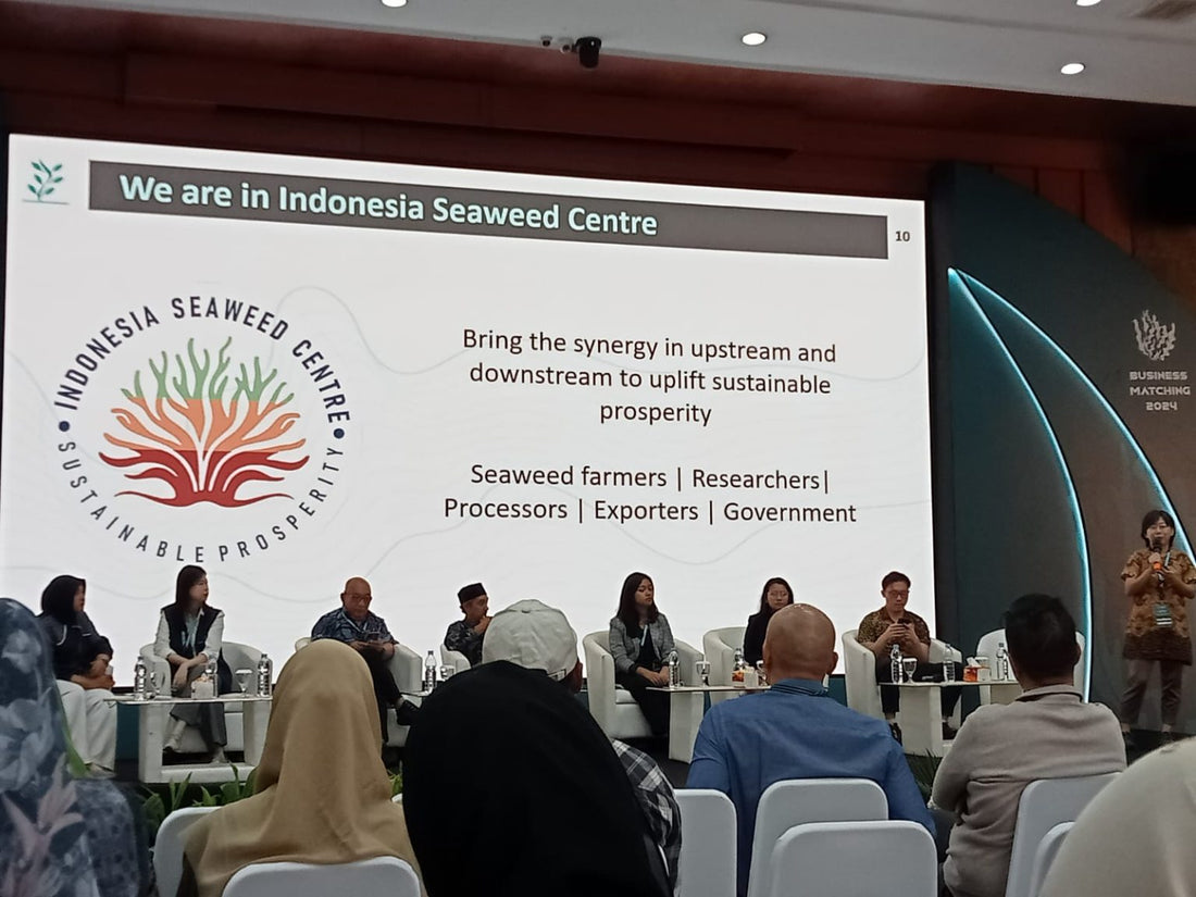 Business Matching at Plaza Industry, Sponsored by The Indonesia Ministry of Industry