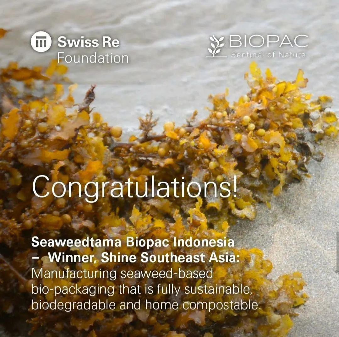 Winner: Shine Southeast Asia 2024