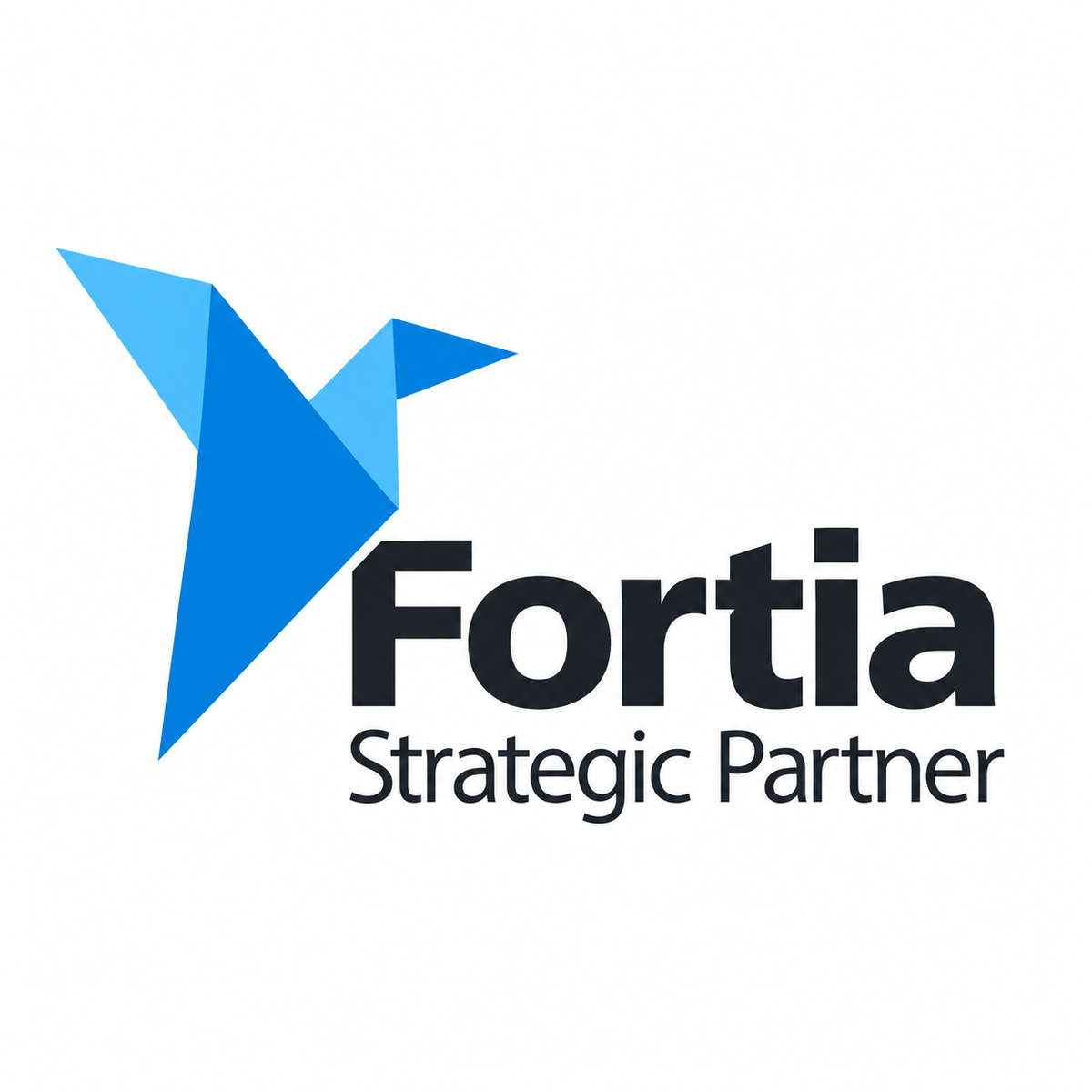 Fortia Strategic Partner