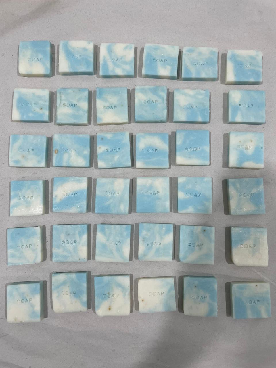 Seaweedtama Soap Bar For Hotel Amenities, 250 pcs