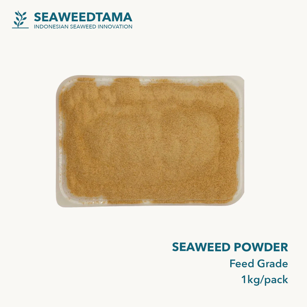Seaweed Powder 1kg